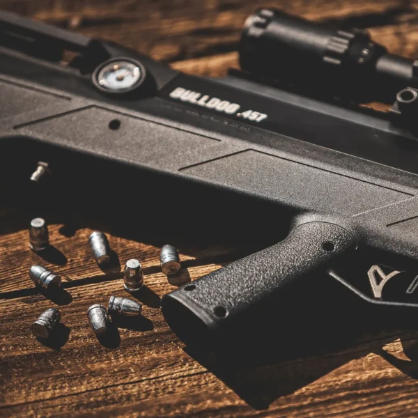 Benjamin Bulldog .457 BPBD4S Outdoor Lifestyle Sitting on a Bench with Slugs