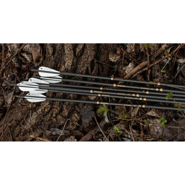 Benjamin AIRBOW M Series Arrows - Image 5