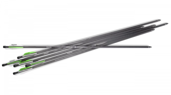 BENJAMIN AIRBOW ARROWS - Image 2