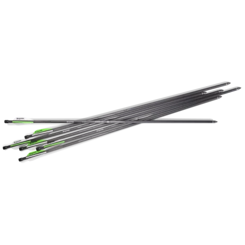 BENJAMIN AIRBOW ARROWS