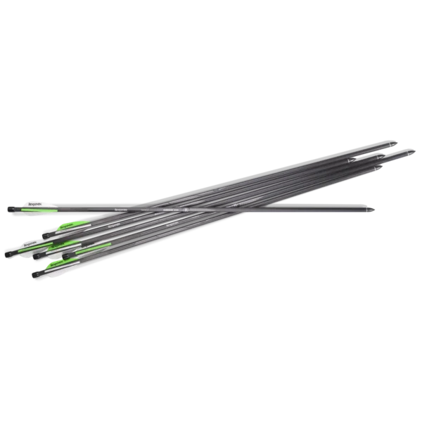 BENJAMIN AIRBOW ARROWS