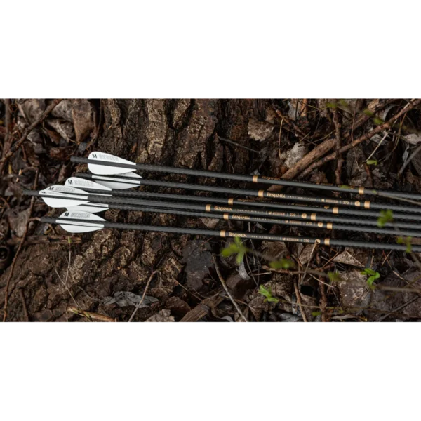 Benjamin AIRBOW M Series Arrows - Image 5