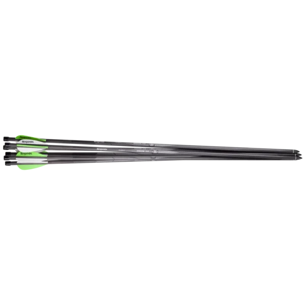 BENJAMIN AIRBOW ARROWS - Image 5