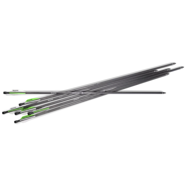 BENJAMIN AIRBOW ARROWS