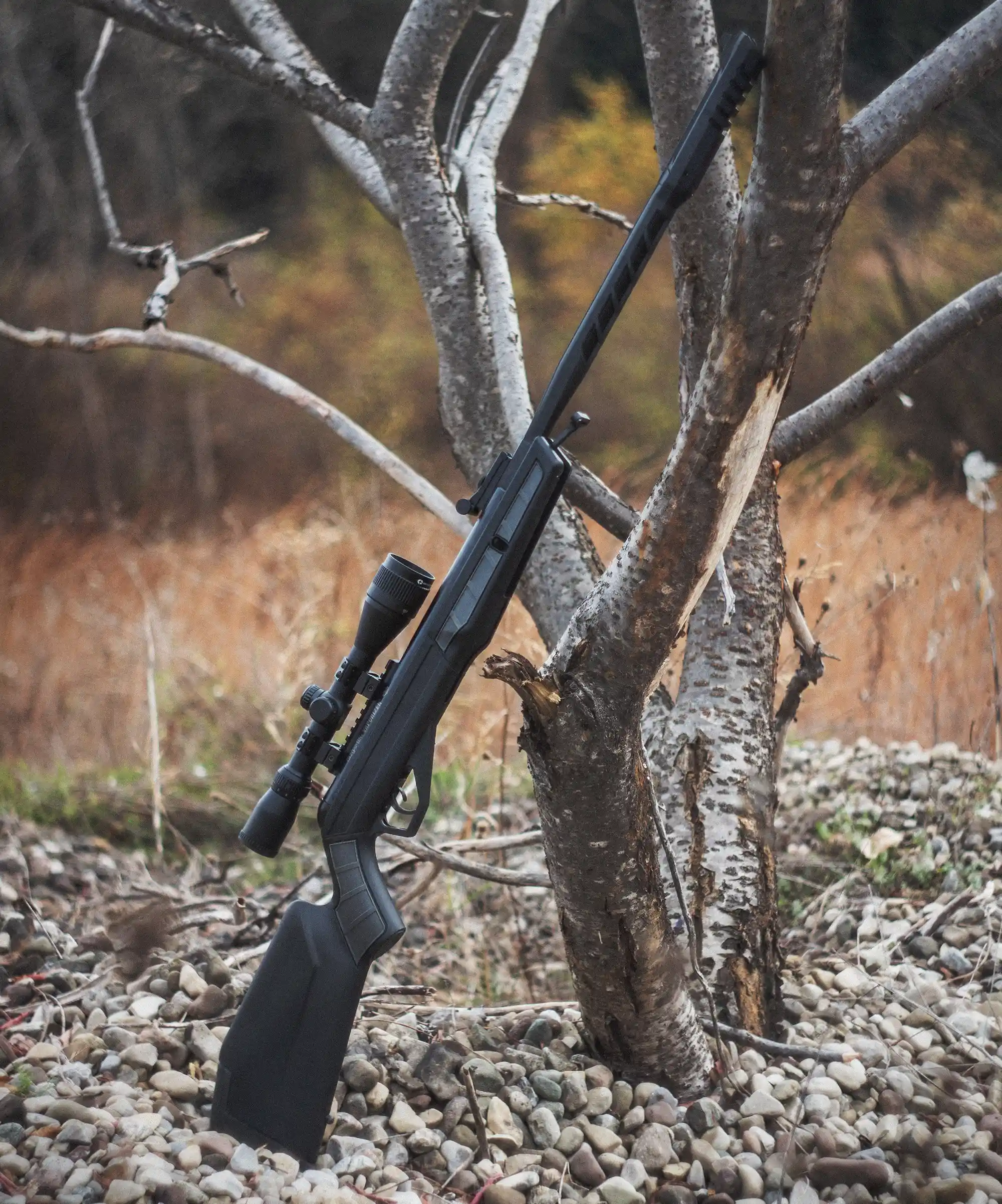 Benjamin Vaporizer Break Barrel Rifle BVH17TPSS Leaning on a Tree Outdoors